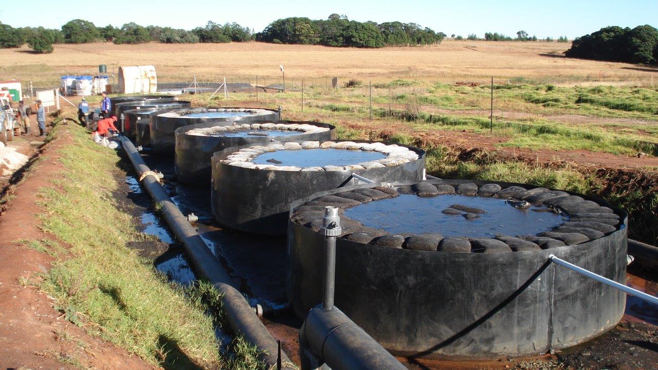 Acid Mine Drainage